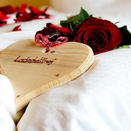 Ladestatthof Гостевой дом 3*