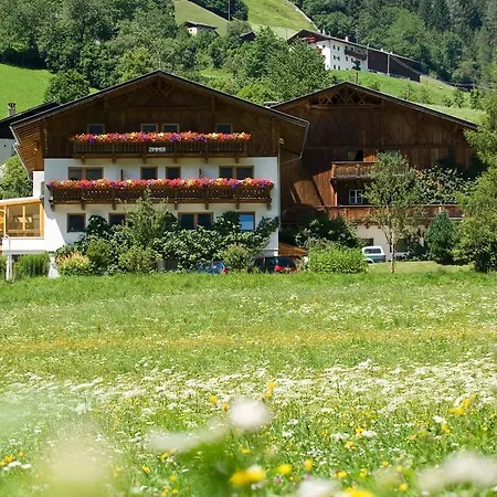 Ladestatthof Pensión 3*