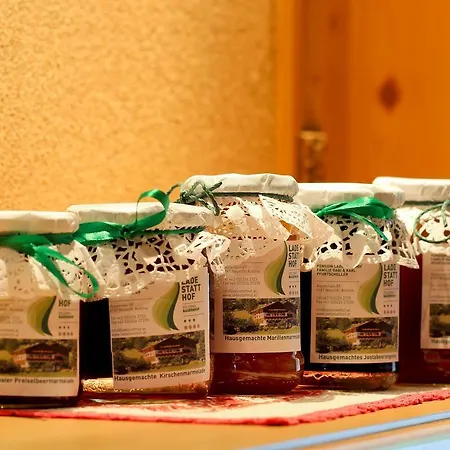 Pensión Ladestatthof Neustift im Stubaital