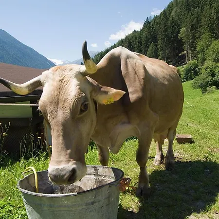 Ladestatthof