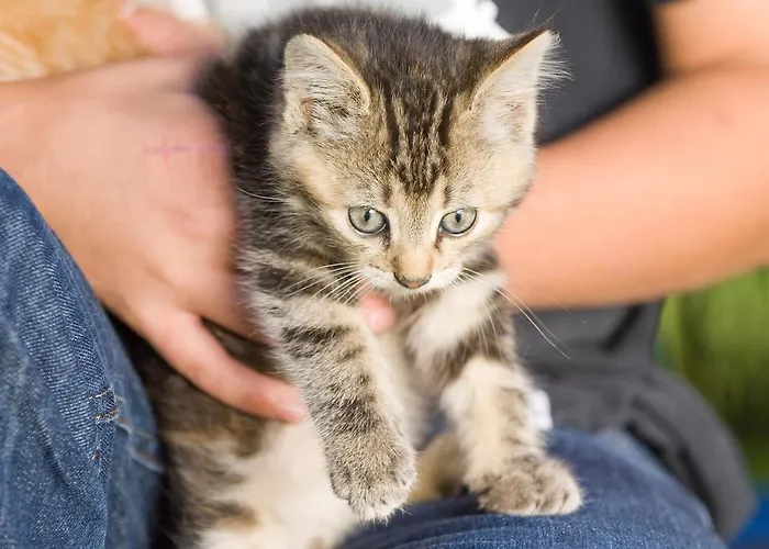 Гостевой дом Ladestatthof 3*