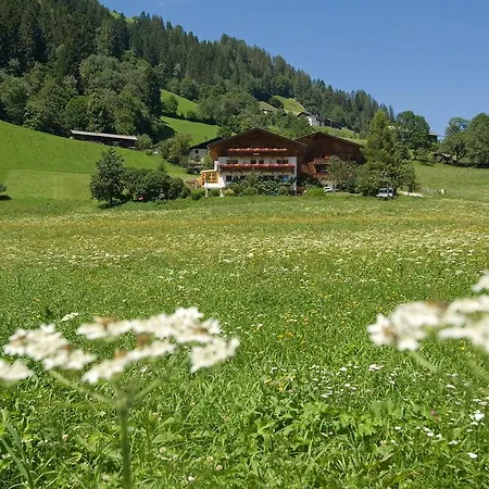 Ladestatthof Pensión