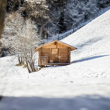 Ladestatthof Pensión Neustift im Stubaital